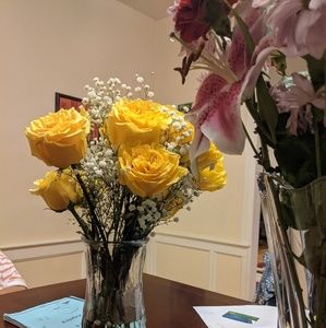 Meet your Posher, Sheva